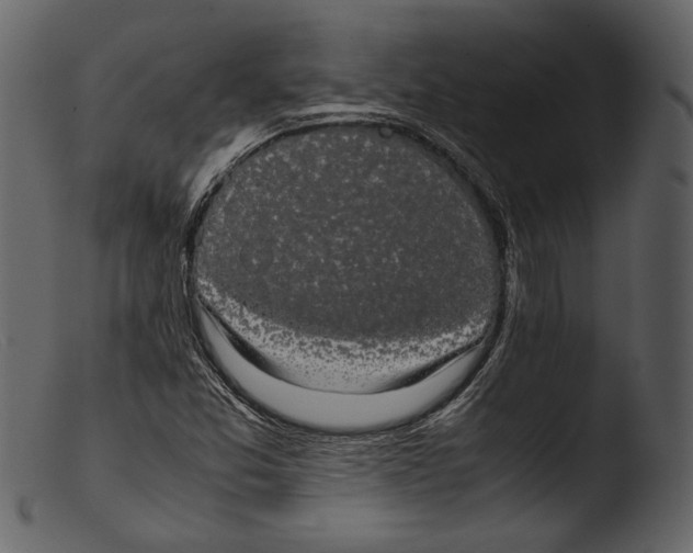 X0000103271357200809261152