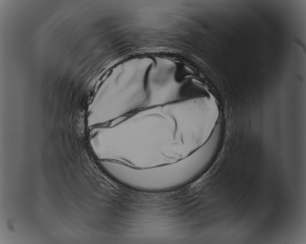 X0000103271361200809261152