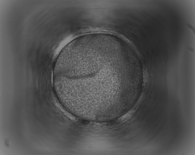 X0000103271365200809261152