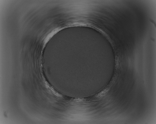 X0000103271373200809261152