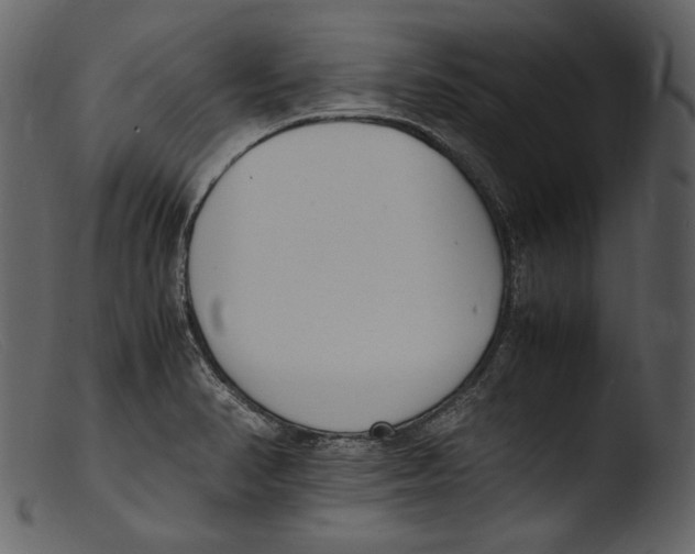 X0000103271374200809261152