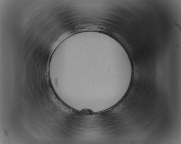 X0000103271378200809261152