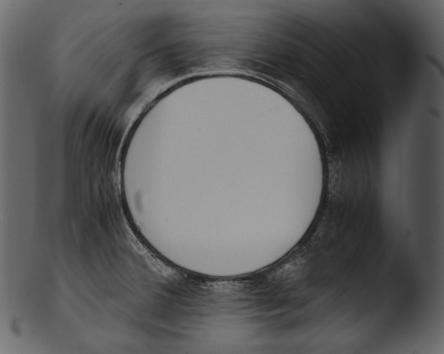 X0000103271380200809261152