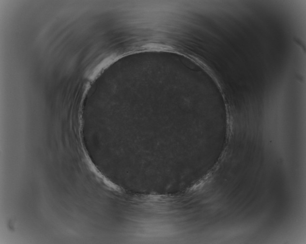X0000103271381200809261152