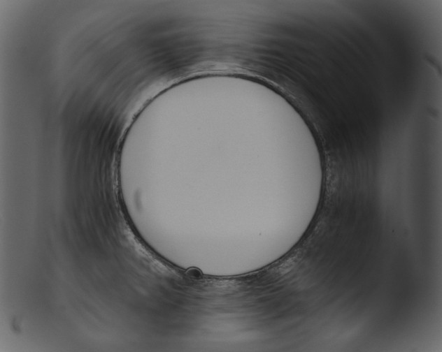 X0000103271382200809261152