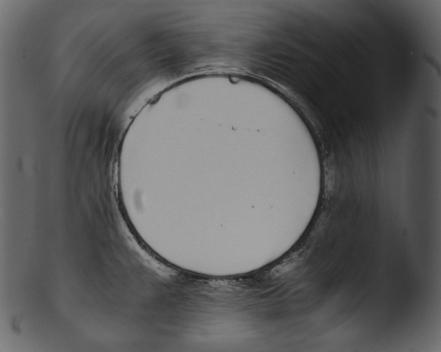 X0000103271383200809261152