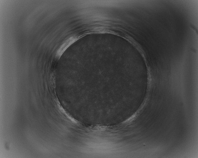 X0000103271385200809261152