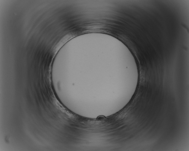 X0000103271386200809261152