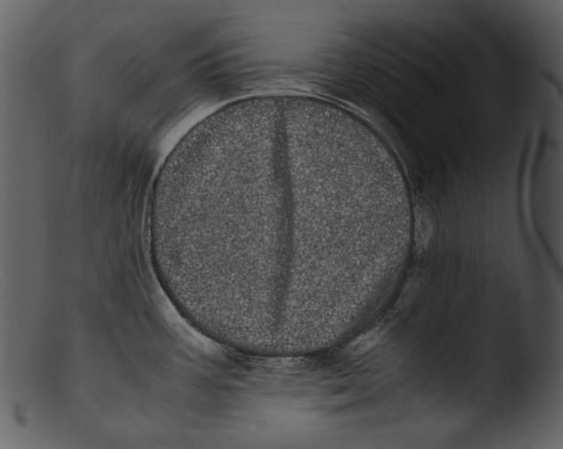 X0000103271387200809261152
