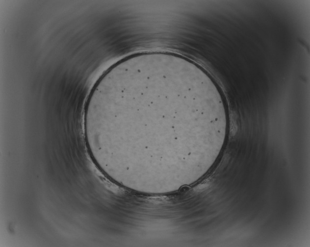 X0000103271388200809261152