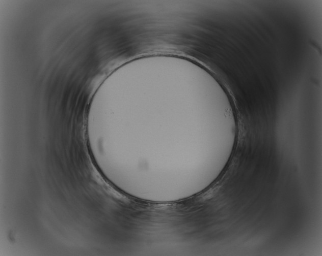 X0000103271390200809261152