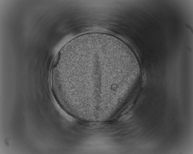 X0000103271391200809261152