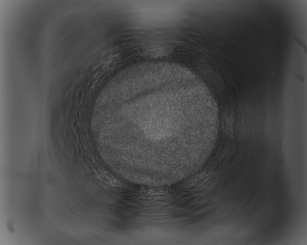 X0000103271393200809261151