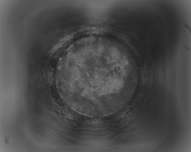 X0000103271399200809261151
