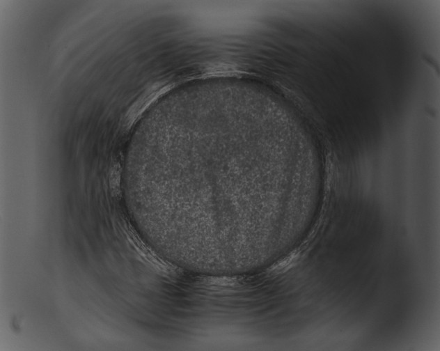 X0000103271401200809261151