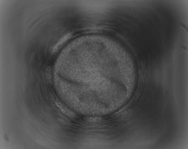 X0000103271403200809261151
