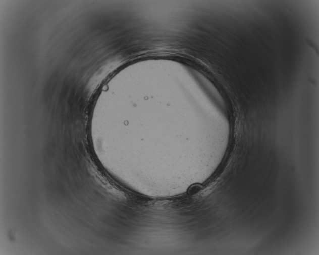 X0000103271410200809261152
