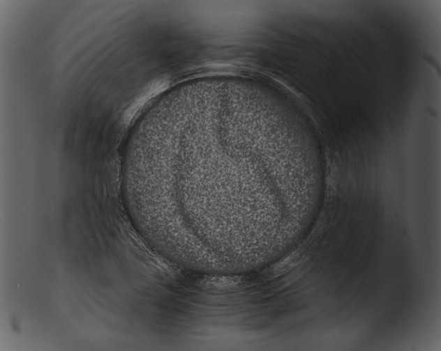 X0000103271411200809261152