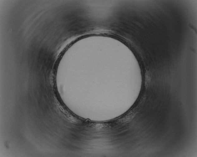 X0000103271412200809261152