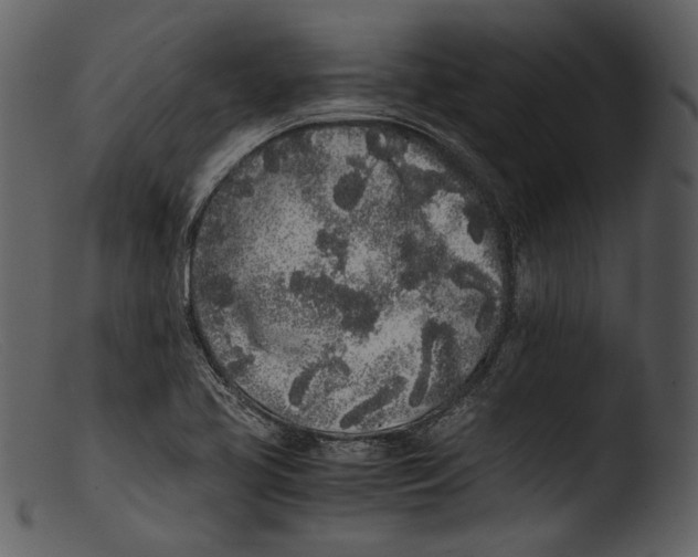 X0000103271413200809261152