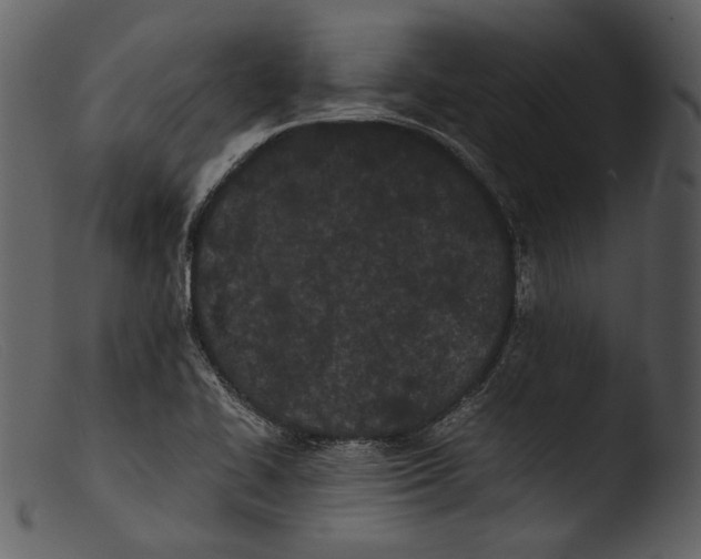 X0000103271414200809261152