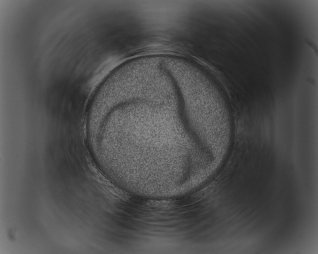 X0000103271415200809261152