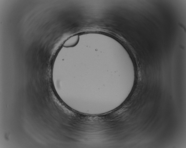 X0000103271416200809261152