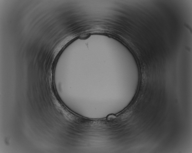 X0000103271418200809261152