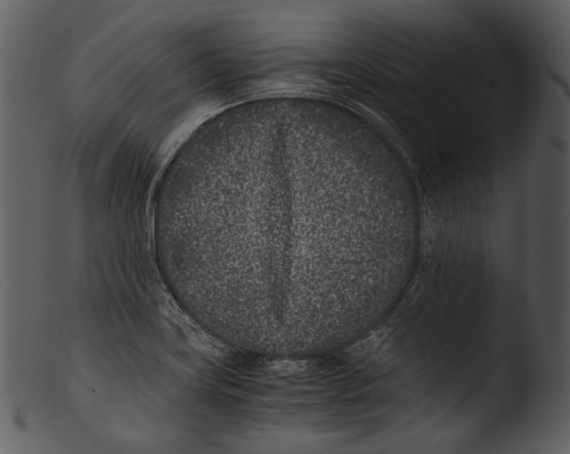 X0000103271419200809261152