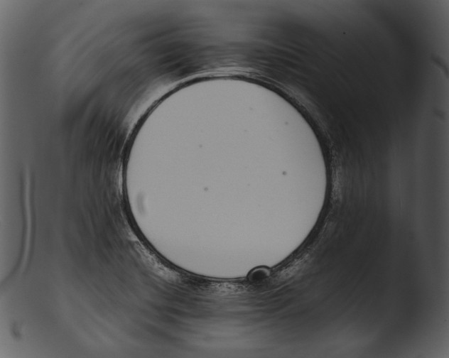 X0000103271420200809261152