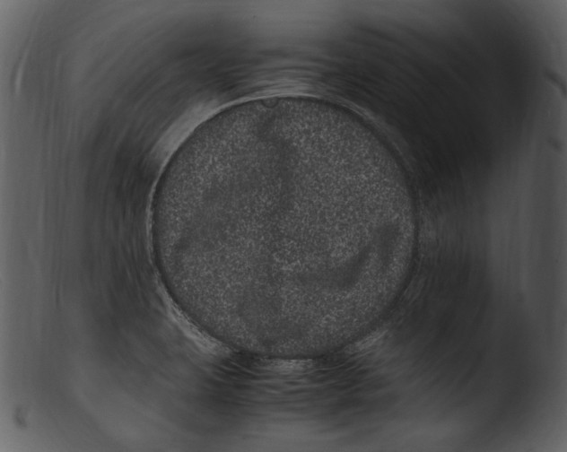 X0000103271423200809261152