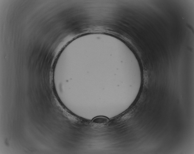 X0000103271424200809261152