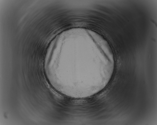 X0000103271425200809261152