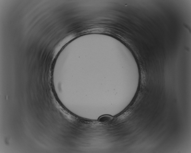 X0000103271426200809261152
