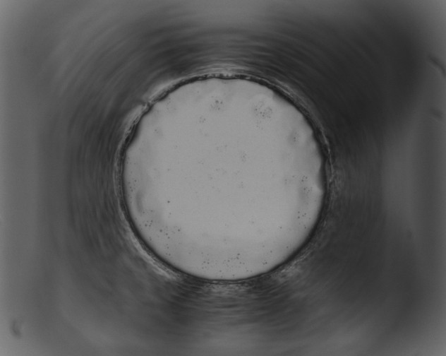 X0000103271429200809261152