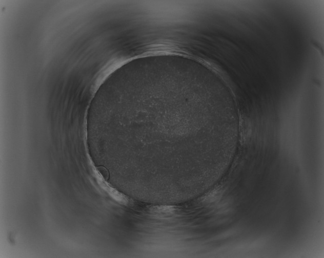 X0000103271431200809261152