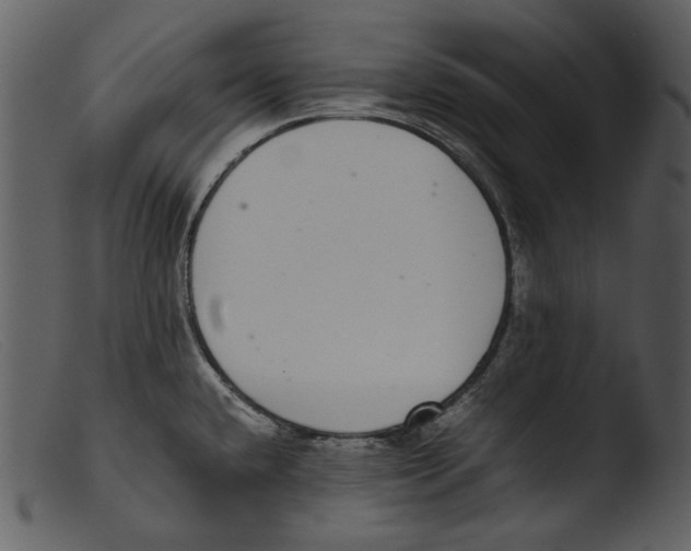 X0000103271432200809261152