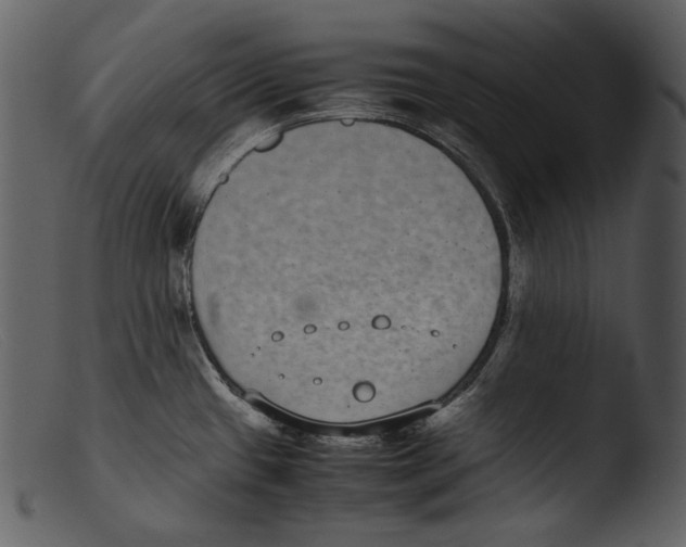 X0000103271433200809261152