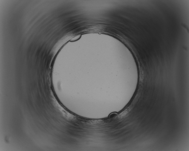 X0000103271434200809261152