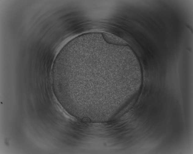 X0000103271436200809261152