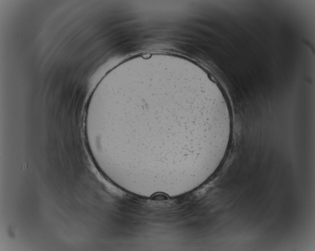 X0000103271437200809261152