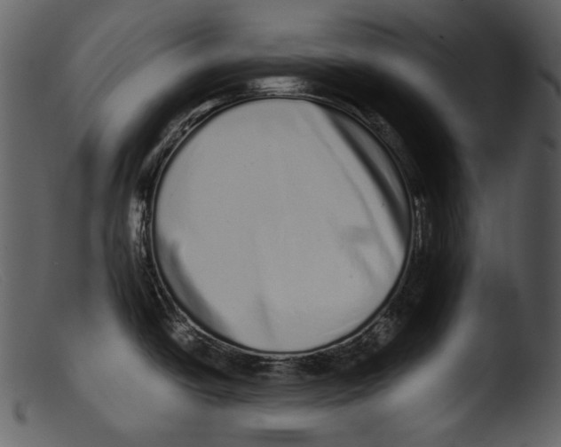 X0000103271438200809261152