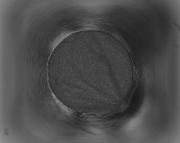 X0000103271439200809261152