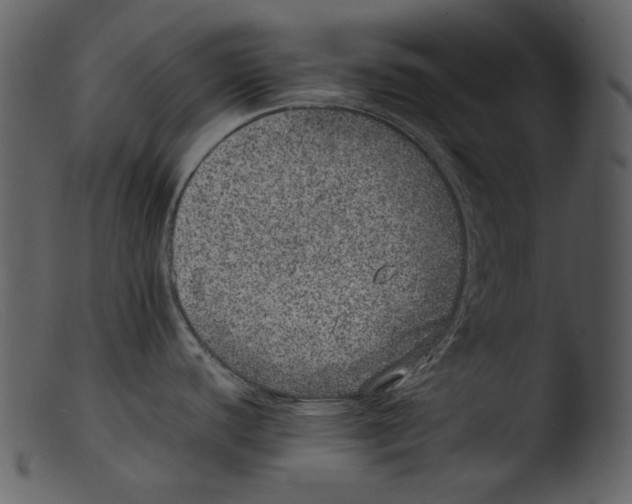 X0000103271440200809261152