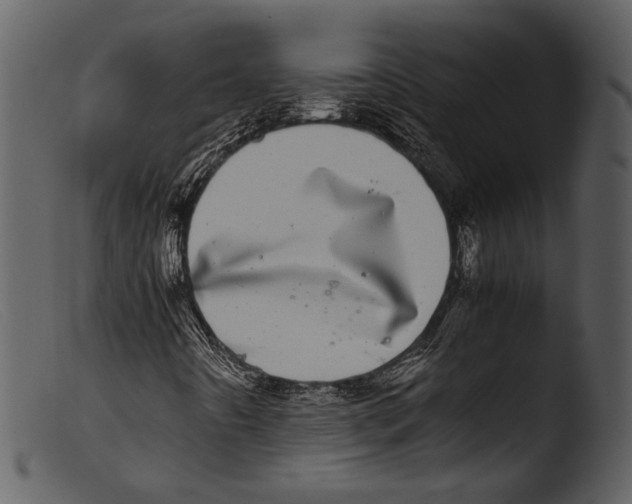 X0000103271442200809261151
