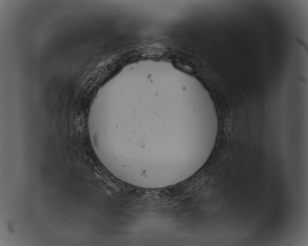 X0000103271445200809261151