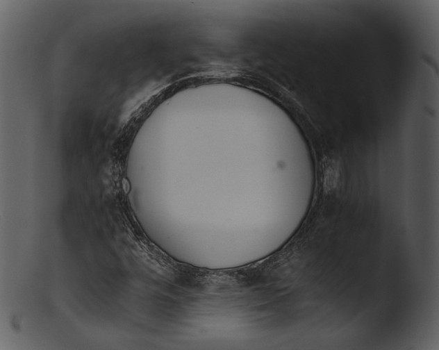 X0000103271448200809261151