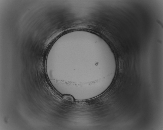 X0000103271452200809261151