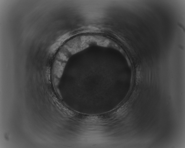 X0000103271455200809261151