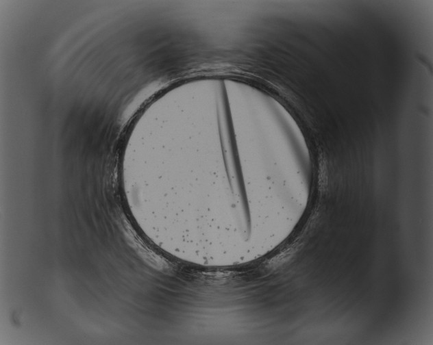 X0000103271458200809261151